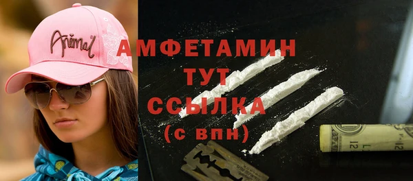 амф Арсеньев