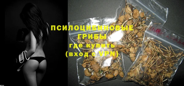 амф Арсеньев