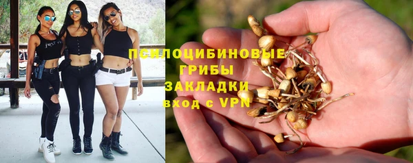 амф Арсеньев
